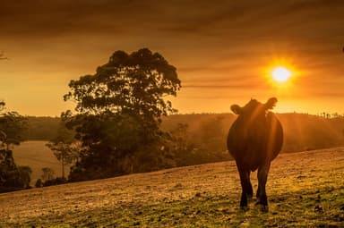 carousel thumbnail 2