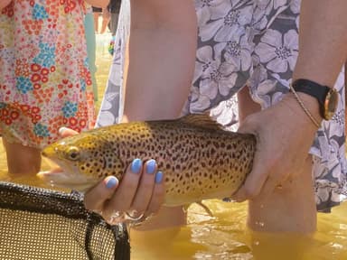 carousel thumbnail 2