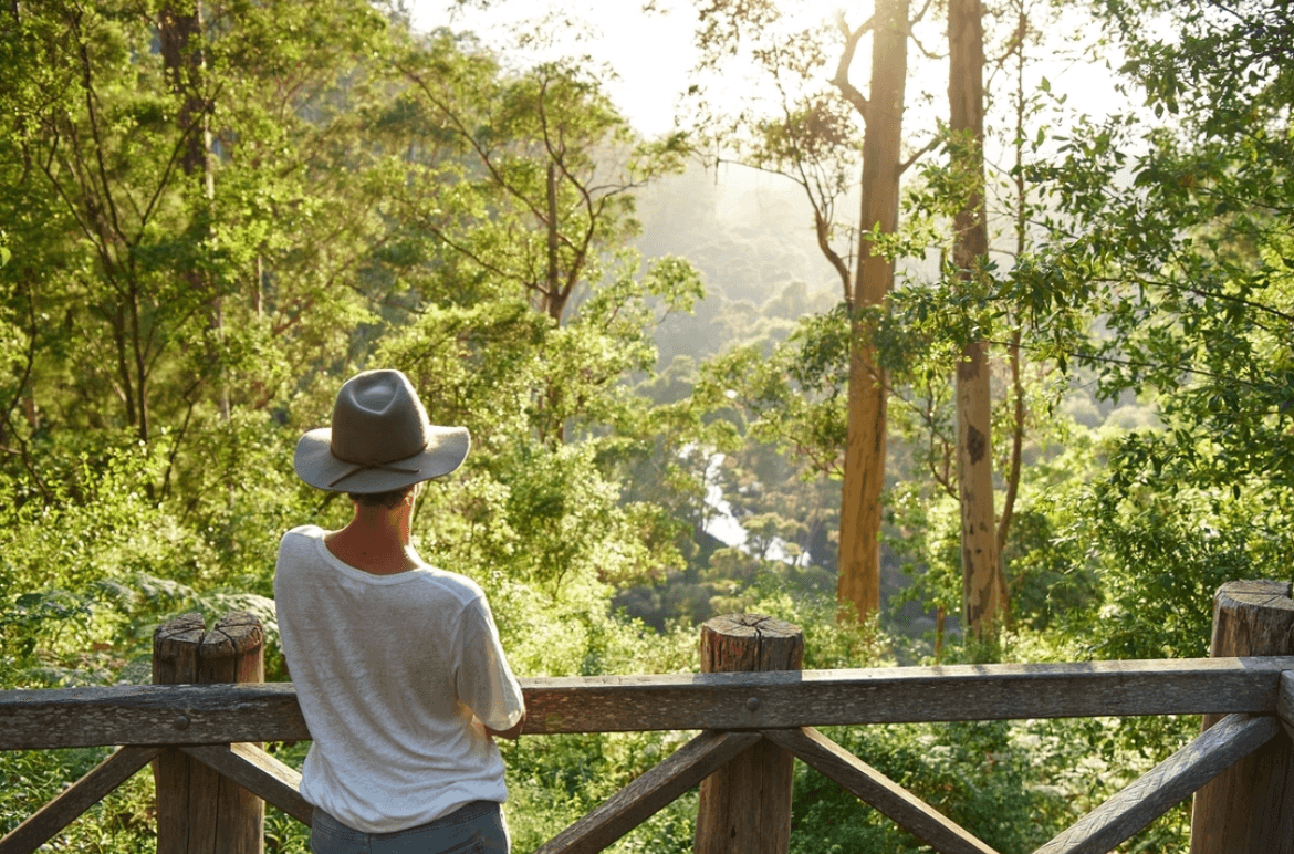 Nature & National Parks