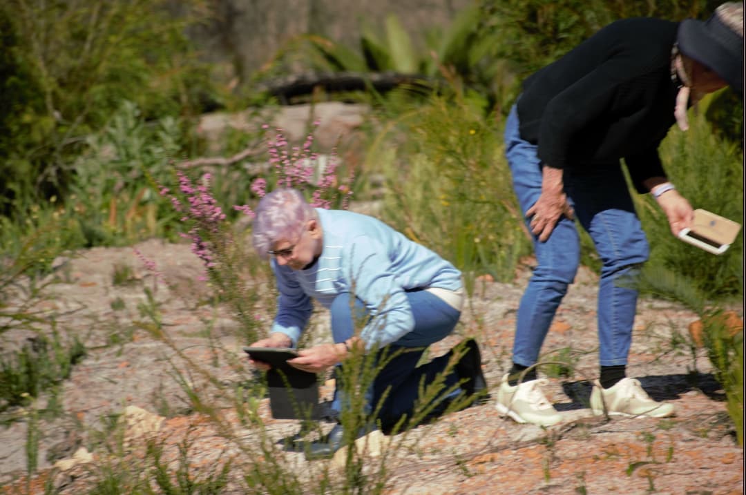 Djilba in Pemberton: A Time of Blooming Wildflowers and Fresh Beginnings