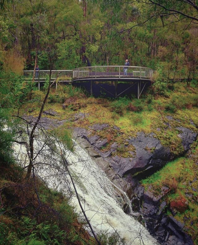 Makuru in Pemberton: Cosy Escapes, and Exploring Nature’s Beauty