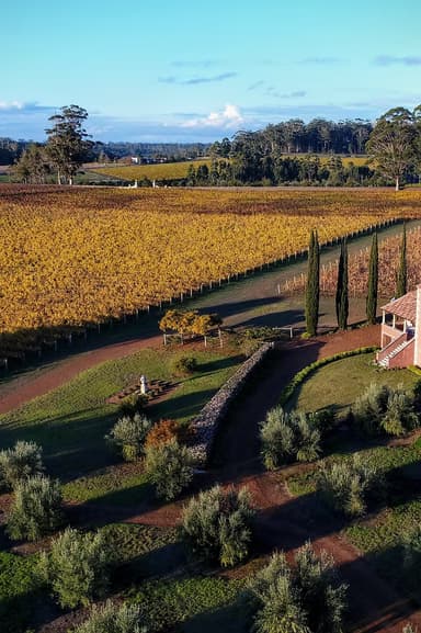 carousel thumbnail 0