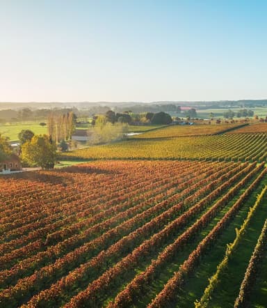 carousel thumbnail 1