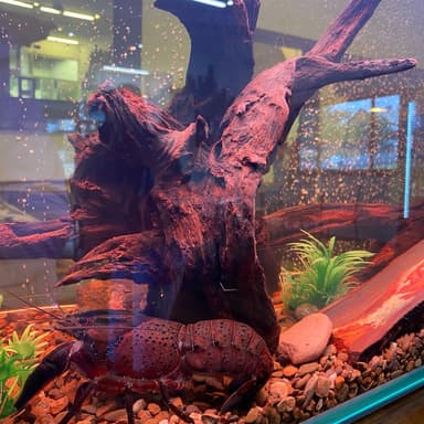 carousel thumbnail 3