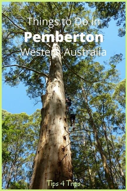 Why visit Pemberton in 2026?